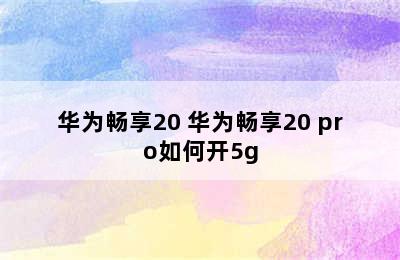 华为畅享20 华为畅享20 pro如何开5g